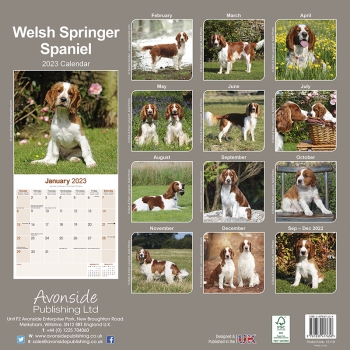 Kalender 2023 Welsh Springer Spaniel