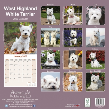 Kalender 2023 West Highland Terrier Westie