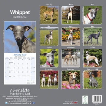 Kalender 2023 Whippet