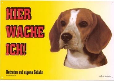 Warnschild Beagle