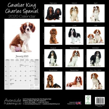 Studio Kalender 2023 Cavalier King Charles Spaniel