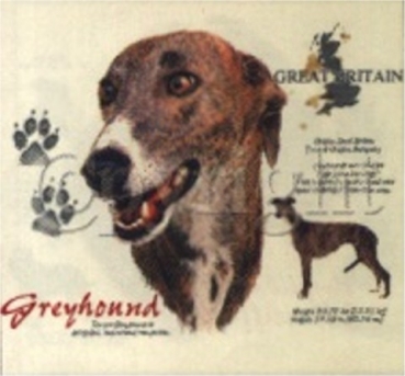 Motiv Greyhound 4
