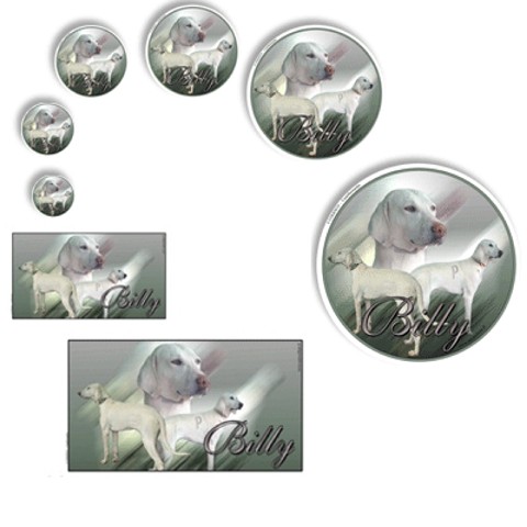 Sticker for Sale mit Billy Hund, spähender Hund Aufkleber, Fell