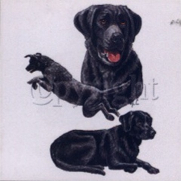 Motiv Labrador 3er Gruppe schwarz