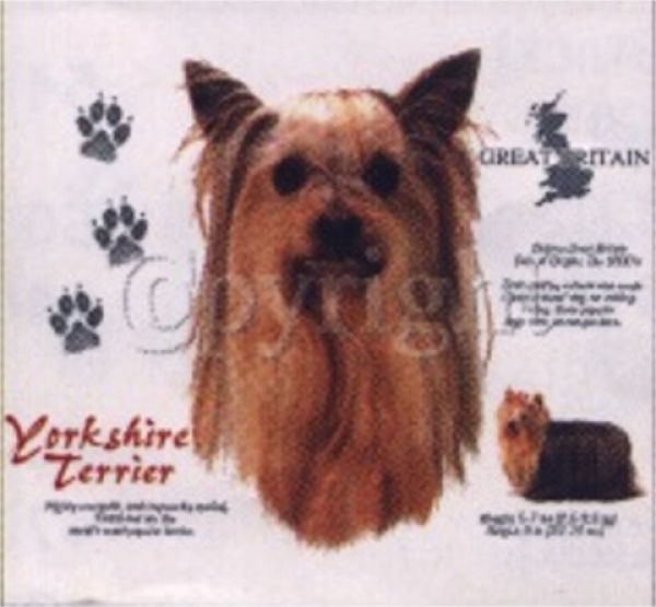 Motiv Yorkshire Terrier 4