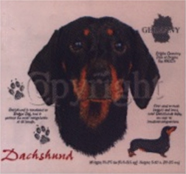 Motiv Kurzhaar Dackel Dachshund schwarz 4