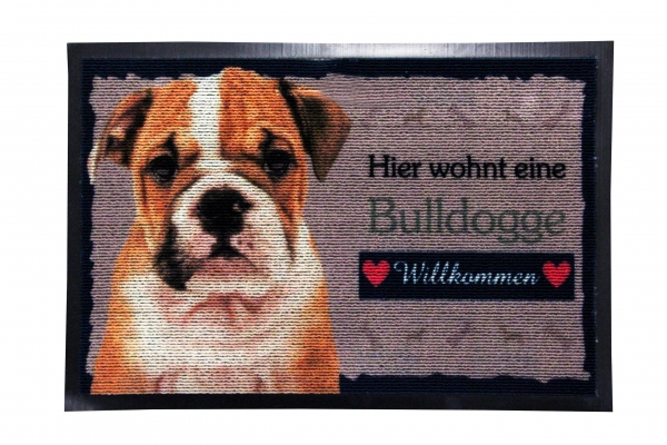 Fussmatte Englische Bulldogge English Bulldog