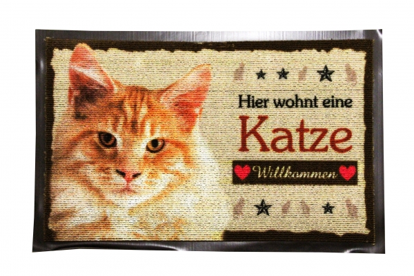 Fussmatte Katze Ingwer Fussabtreter