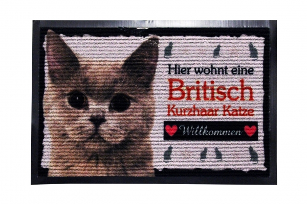 Fussmatte Britisch Kurzhaar Katze Fussabtreter