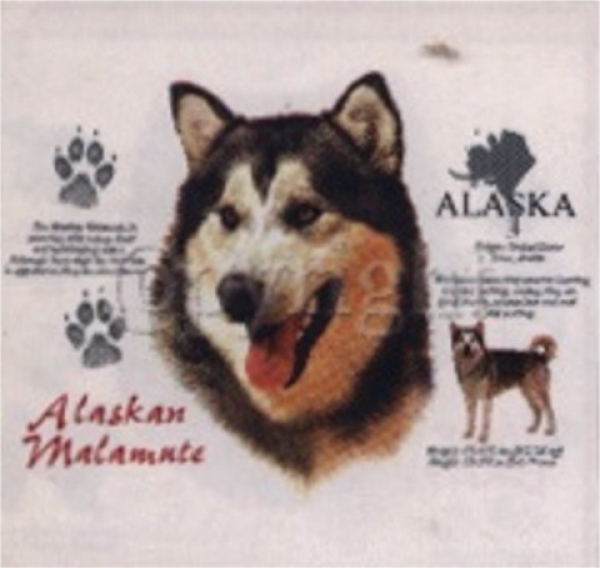 Motiv Alaska Malamute 4