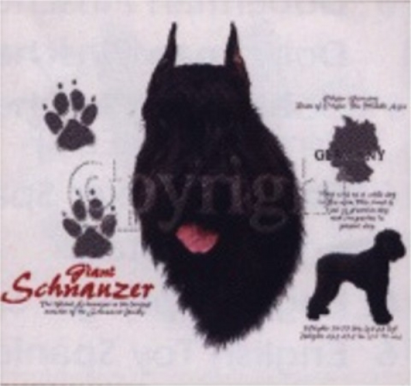 Motiv Schnauzer 4