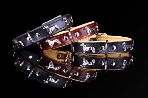 Motiv Halsband Dackel Dachshund Teckel Lederhalsband