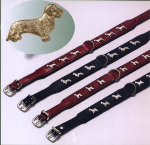 Motivhalsband Rauhhaar Dackel Dachshund