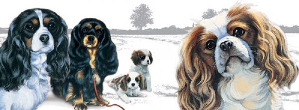 Tasse Motiv Cavalier King Charles Spaniel