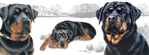 Tasse Motiv Rottweiler