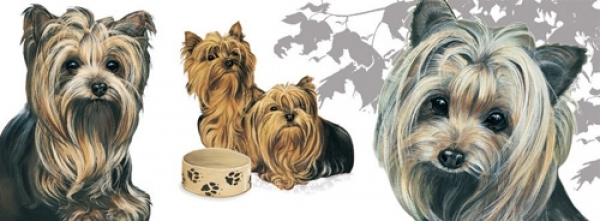 Tasse Motiv Yorkshire Terrier