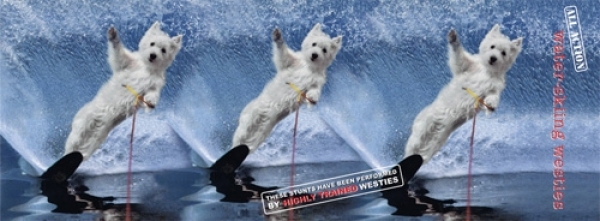 Tasse Motiv West Highland White Terrier Water Skiing