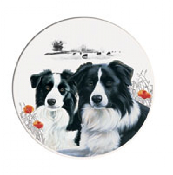 Tee Time Set Border Collie