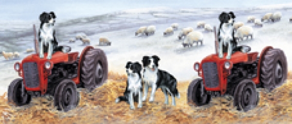 Tasse Motiv Border Collie Tractor Trials