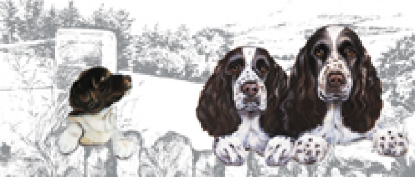 Tasse Motiv English Springer Spaniel