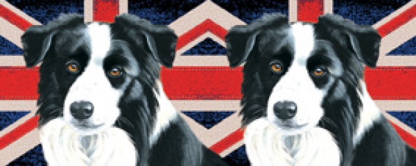 Tasse Motiv Border Collie British