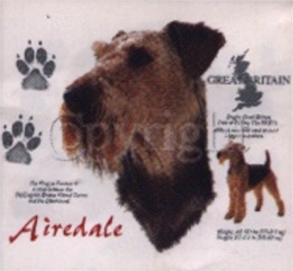 Motiv Airedale Terrier 4