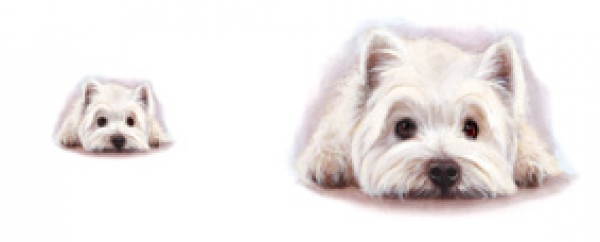 Tasse Motiv West Highland White Terrier Aquarell