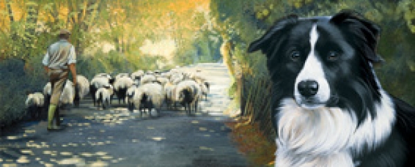 Tasse Motiv Border Collie Back To The Farm