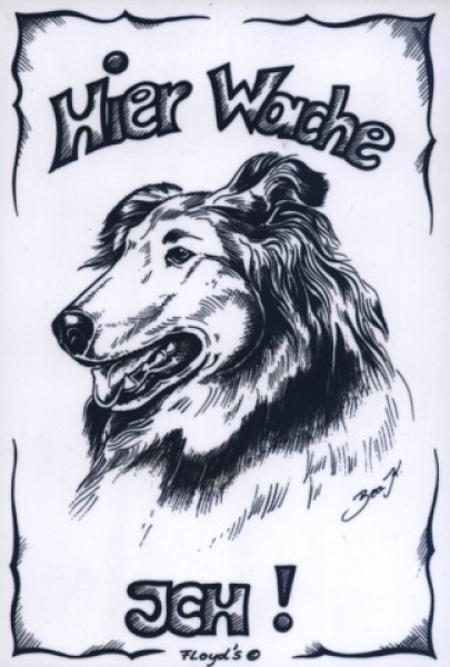 Warnschild Collie