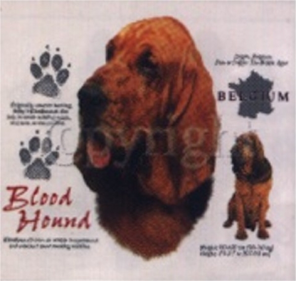 Motiv Blood Hound 4