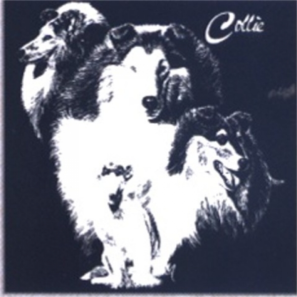 Motiv Collie 9