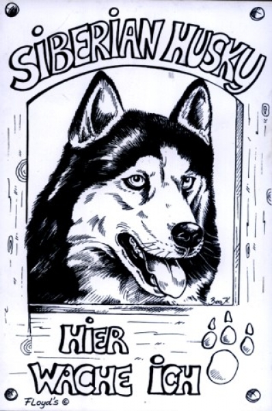 Warnschild Husky