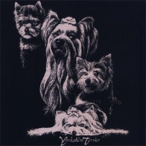 Motiv Yorkshire Terrier 9