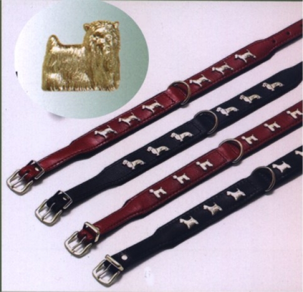 Motivhalsband Yorkshire Terrier