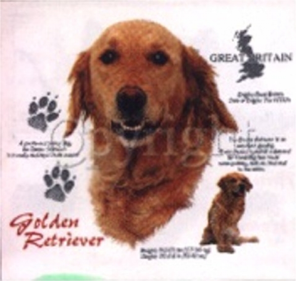 Motiv Golden Retriever 4