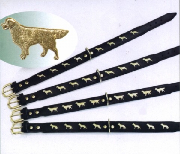 Motivhalsband Golden Retriever