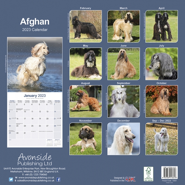 Kalender 2023 Afghane Windhund
