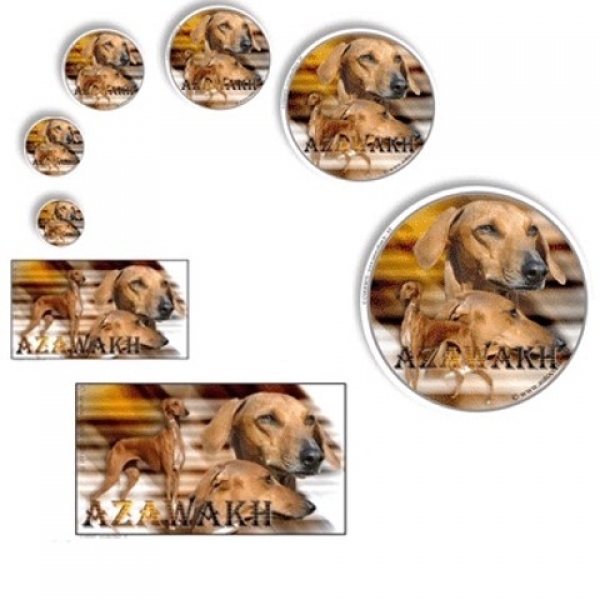 Aufkleber Azawakh 1 Afrikanischer Windhund