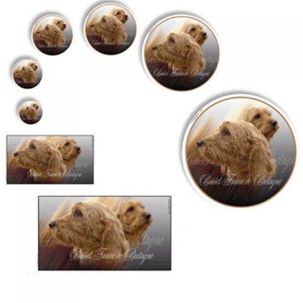 Aufkleber Basset fauve de Bretagne