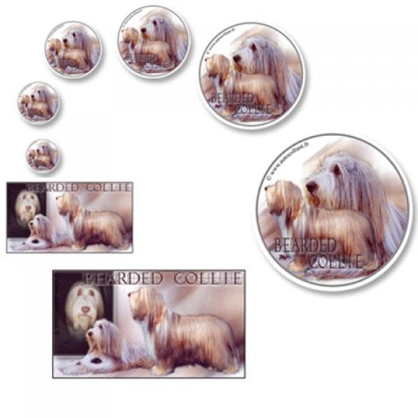 Aufkleber Bearded Collie 1