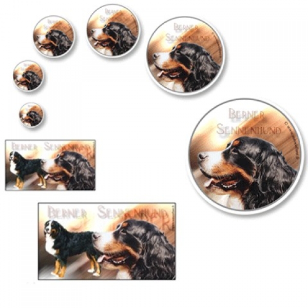 Aufkleber Berner Sennenhund 1