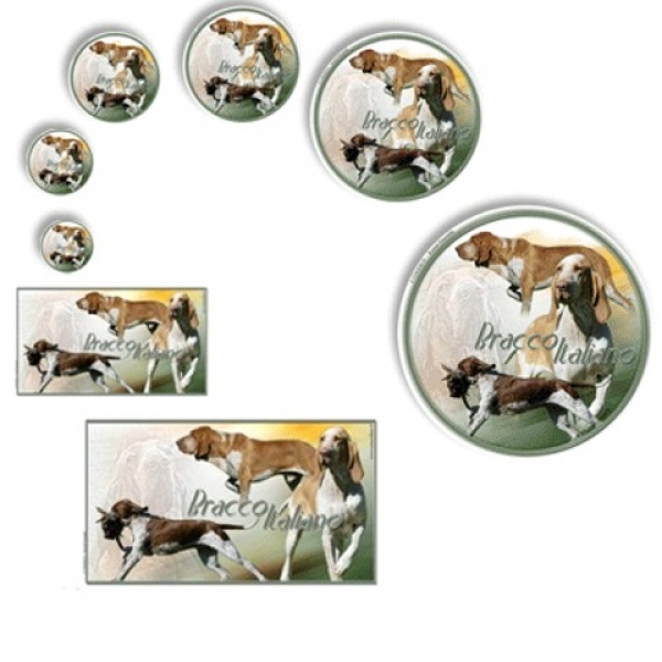 Aufkleber Bracco Italiano / Italienischer Vorstehhund