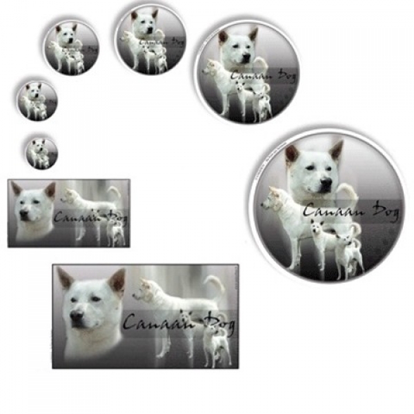 Aufkleber Canaan Dog / Kanaanhund