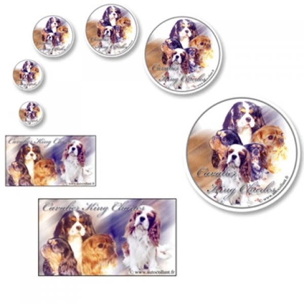 Aufkleber Cavalier King Charles Spaniel 2