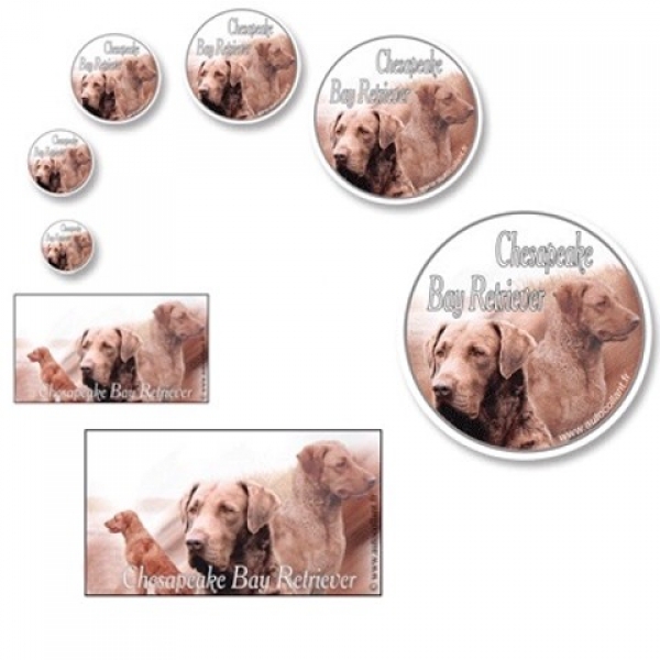 Aufkleber Chesapeake Bay Retriever