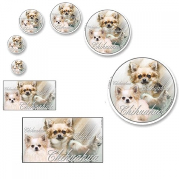 Aufkleber Chihuahua 1 Langhaar