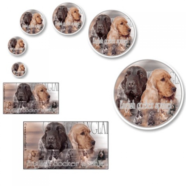Aufkleber Englisch Cocker Spaniel mix