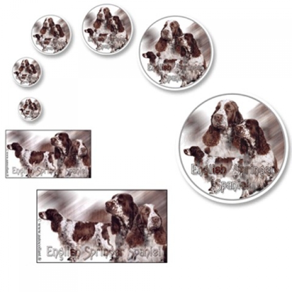 Aufkleber Englisch Springer Spaniel 1