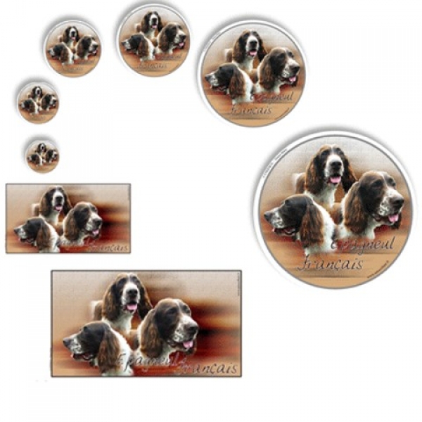 Aufkleber Epagneul Francais / Französischer Spaniel