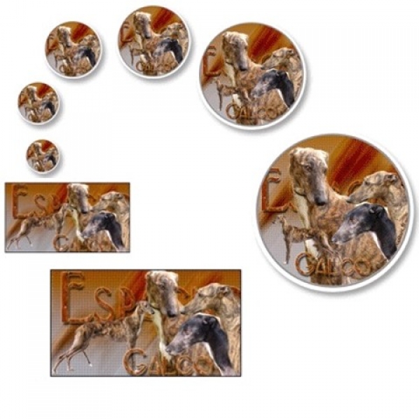 Aufkleber Galgo Espanol / Spanischer Windhund